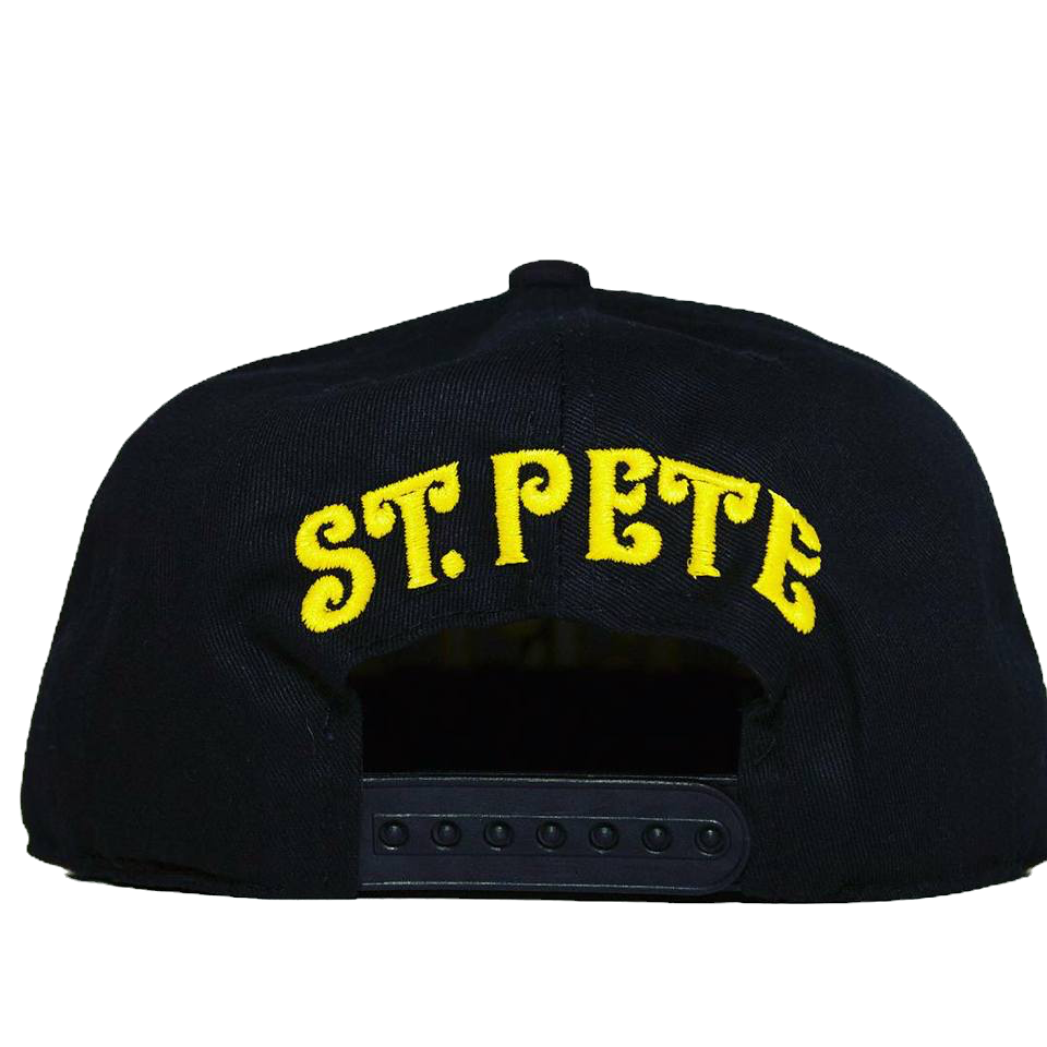 Black Terp Snapback image 1