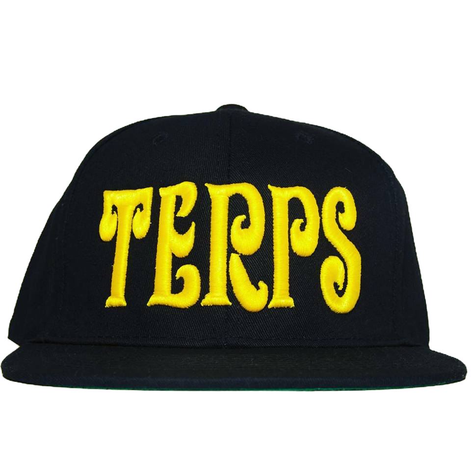 Black Terp Snapback image 0