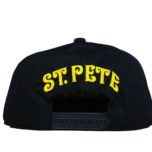 Black Terp Snapback image 1