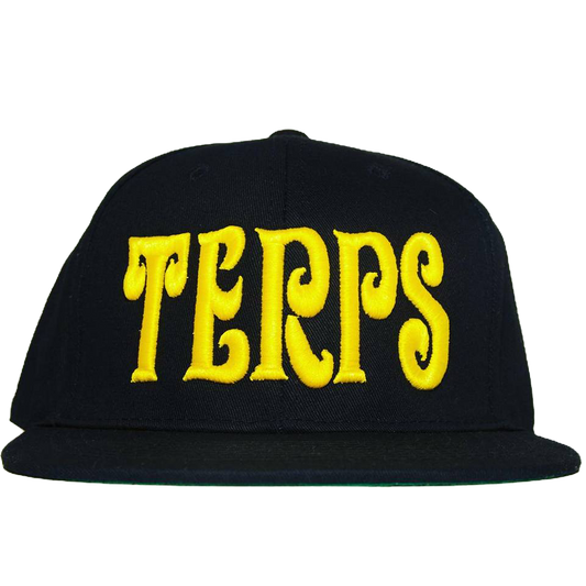 Black Terp Snapback image 0