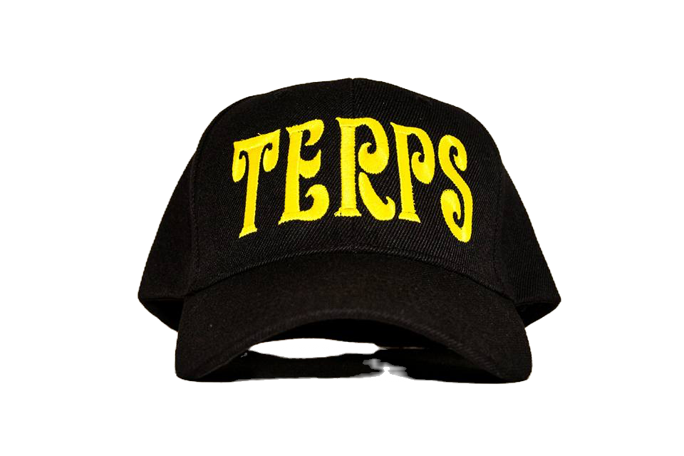 Black Standard Terp Ball Cap image 0