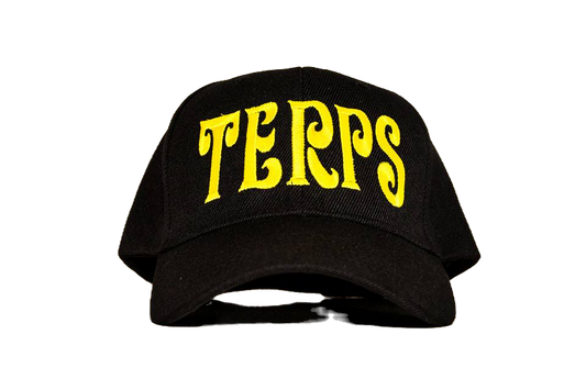 Black Standard Terp Ball Cap image 0