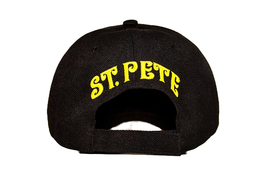 Black Standard Terp Ball Cap image 1