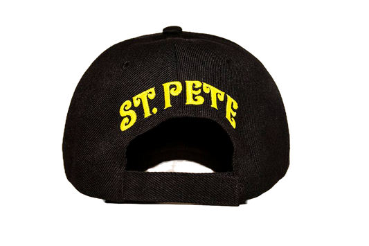 Black Standard Terp Ball Cap image 1